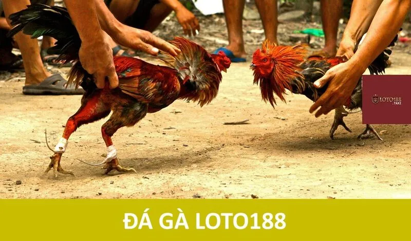 Trở Thành Cao Thủ Với Loto 188 - Bí Quyết Thành Công Không Ai Dám Tiết Lộ